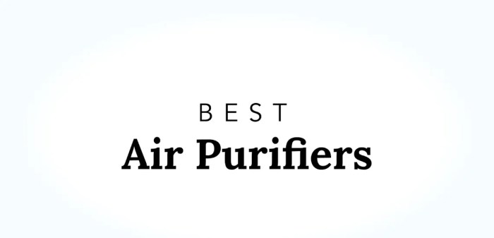 Best air purifiers for improving indoor air quality