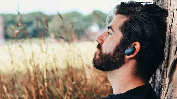 Comfortable and noise-canceling earbuds for music lovers