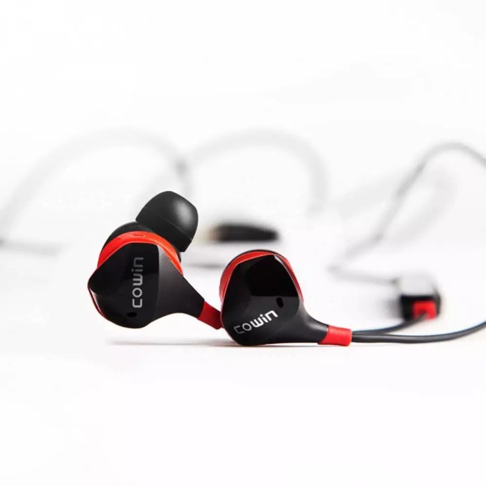 Comfortable and noise-canceling earbuds for music lovers