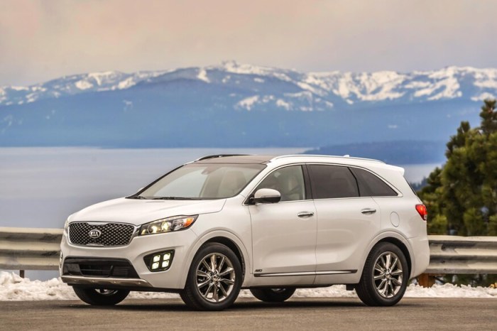 Popular SUV models for families and adventures